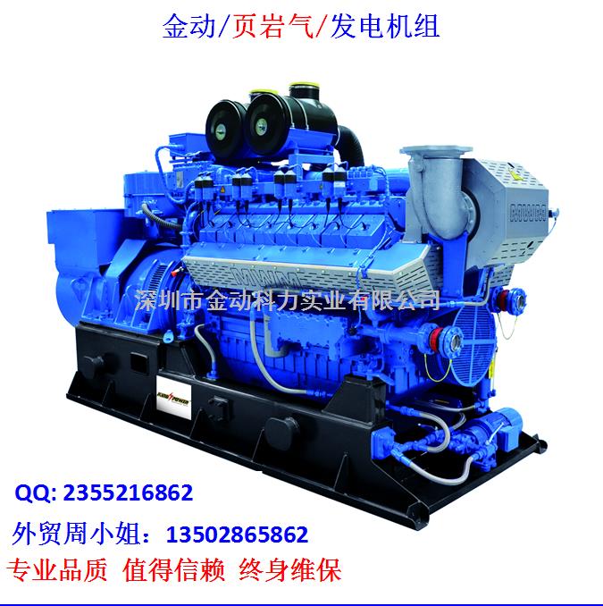 【深圳頁巖氣發(fā)電機(jī)】 發(fā)展趨勢(shì)無懈可擋！